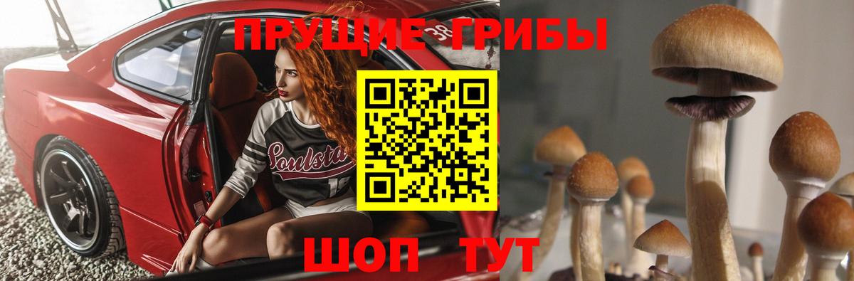 Галлюциногенные грибы Magic Shrooms  Вход с VPN  Гуково 